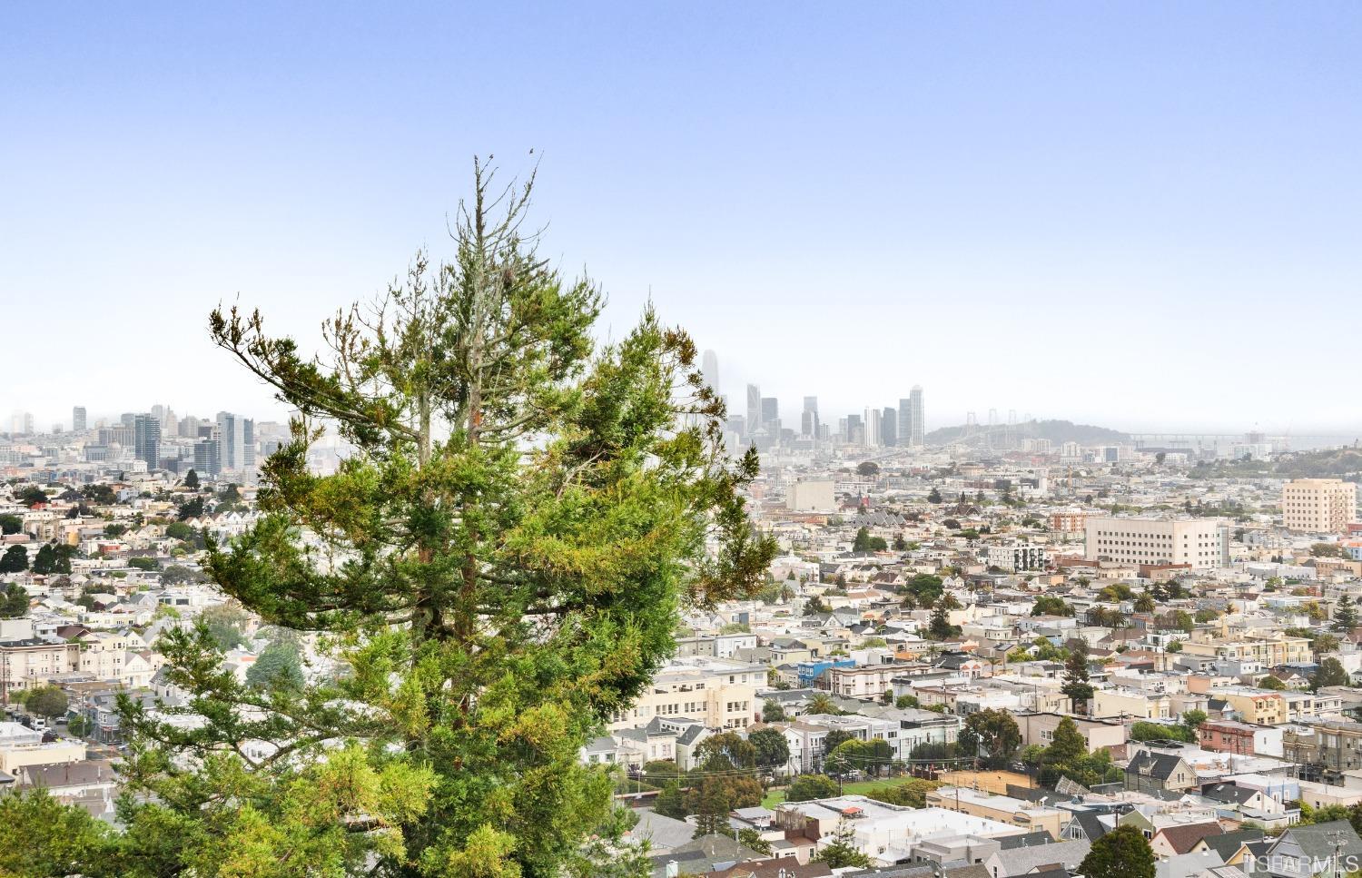 37 Miguel Street Unit: 6