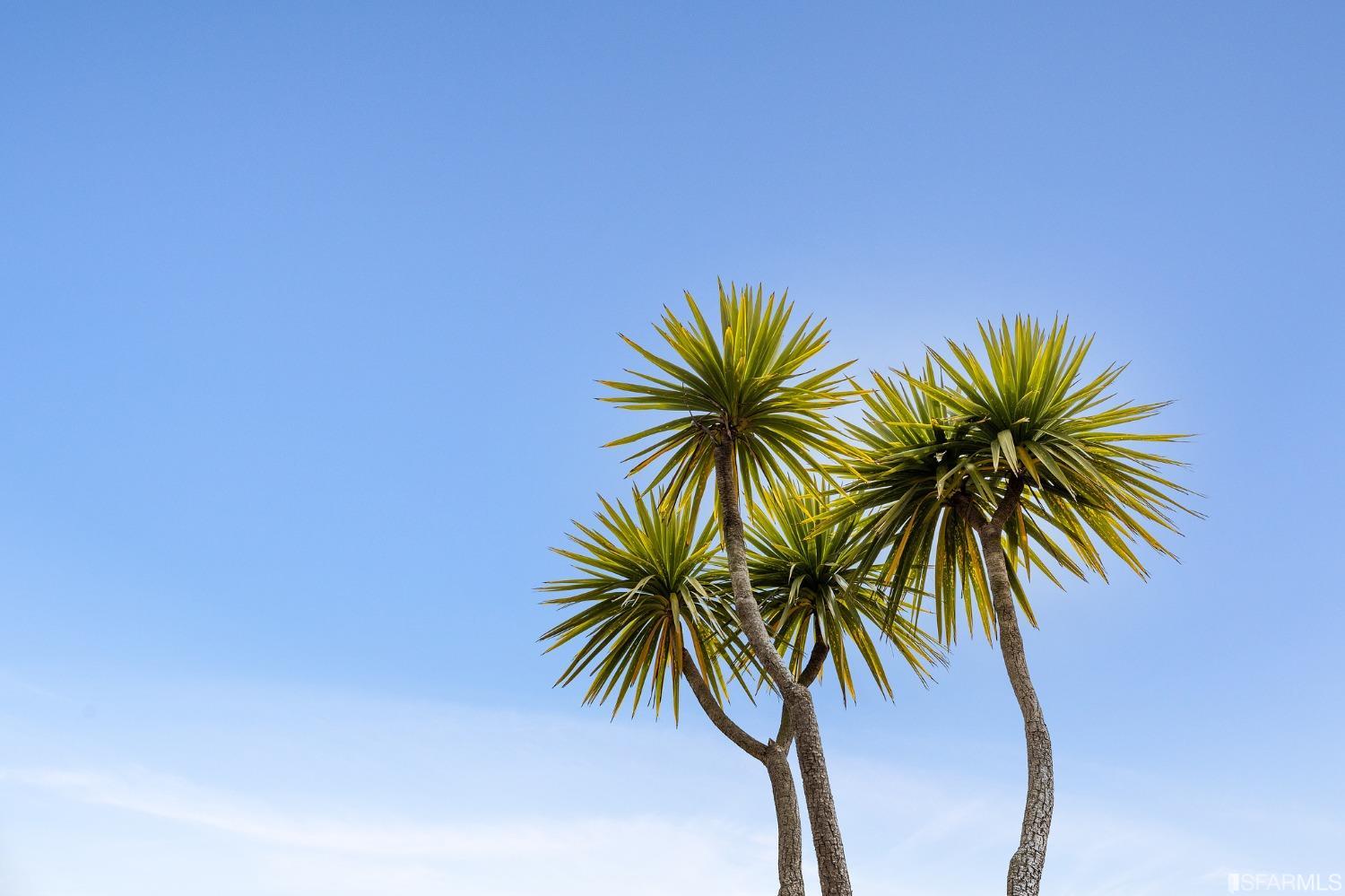 144 Stonecrest Drive