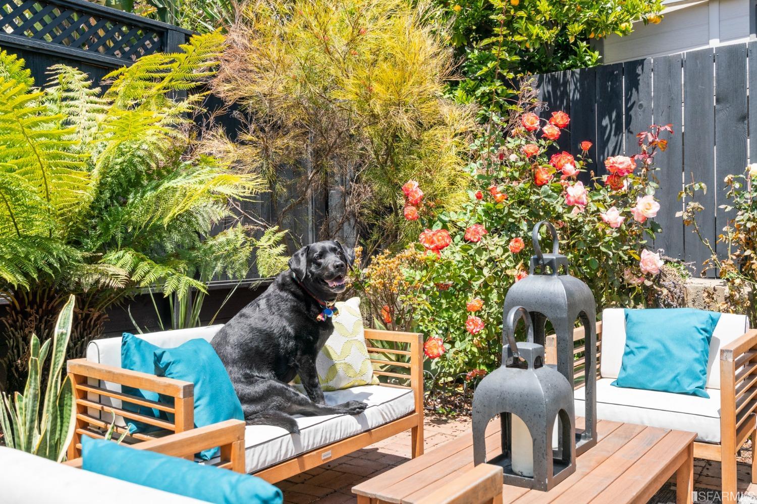 166 Ellsworth Street