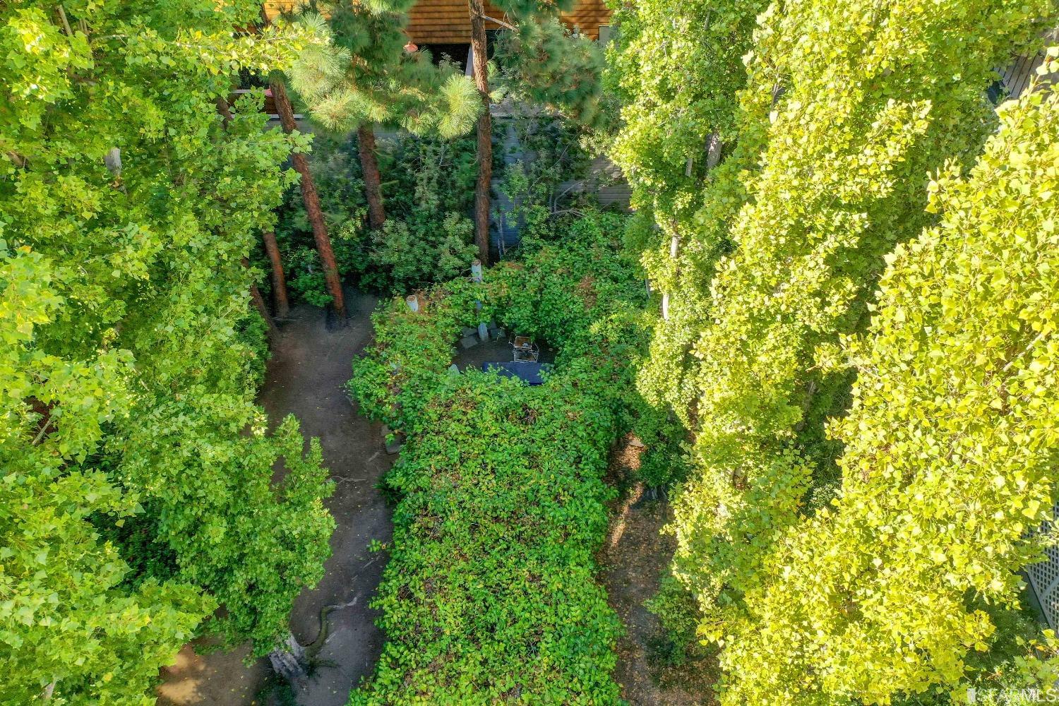 33 Midway Street Unit: 202