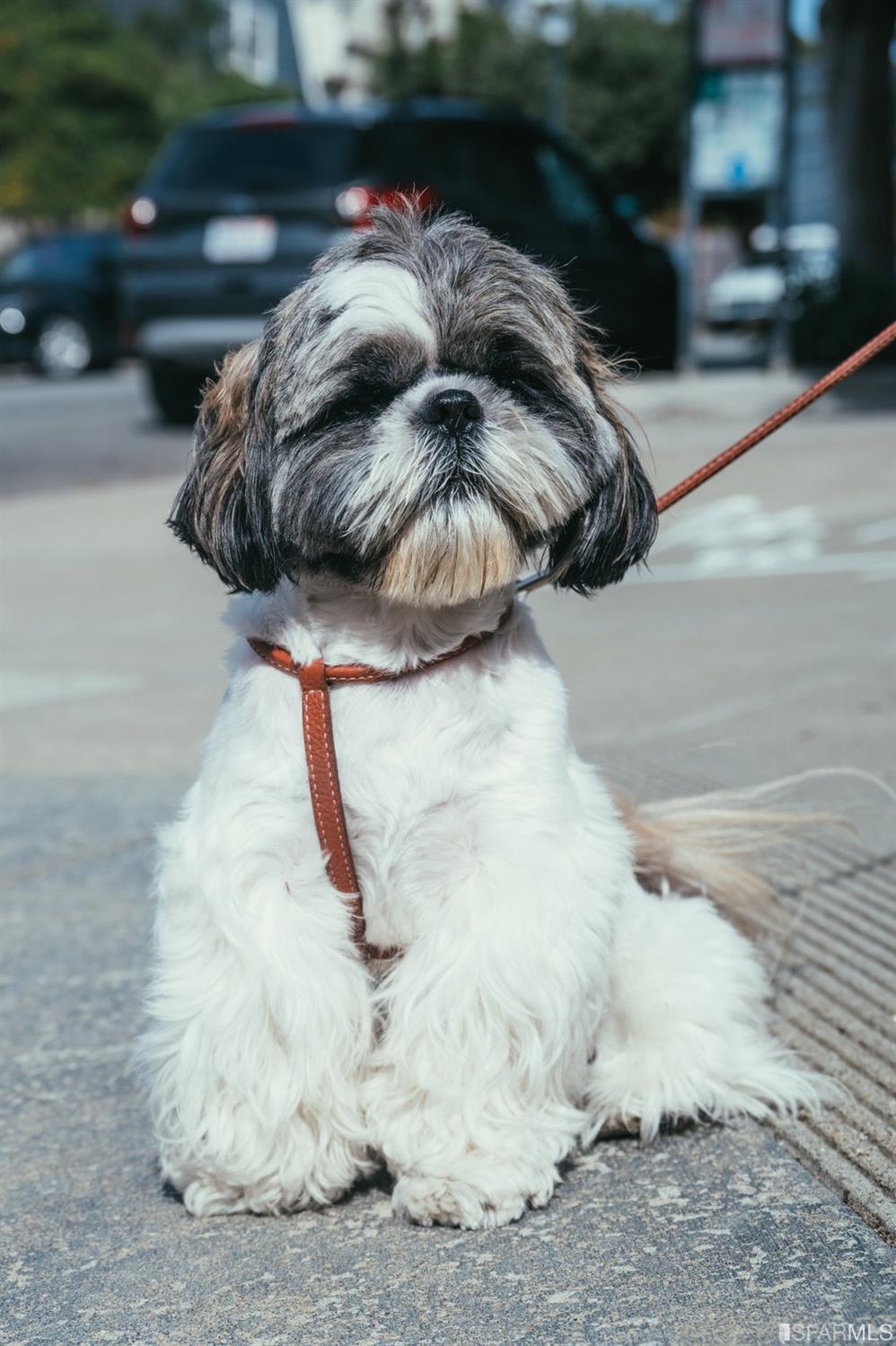 849 Noe Street Unit: 6