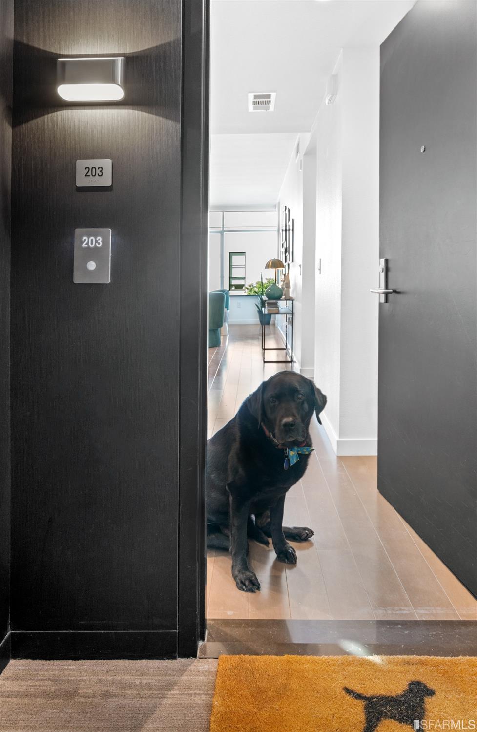 2655 Bush Street Unit: 203