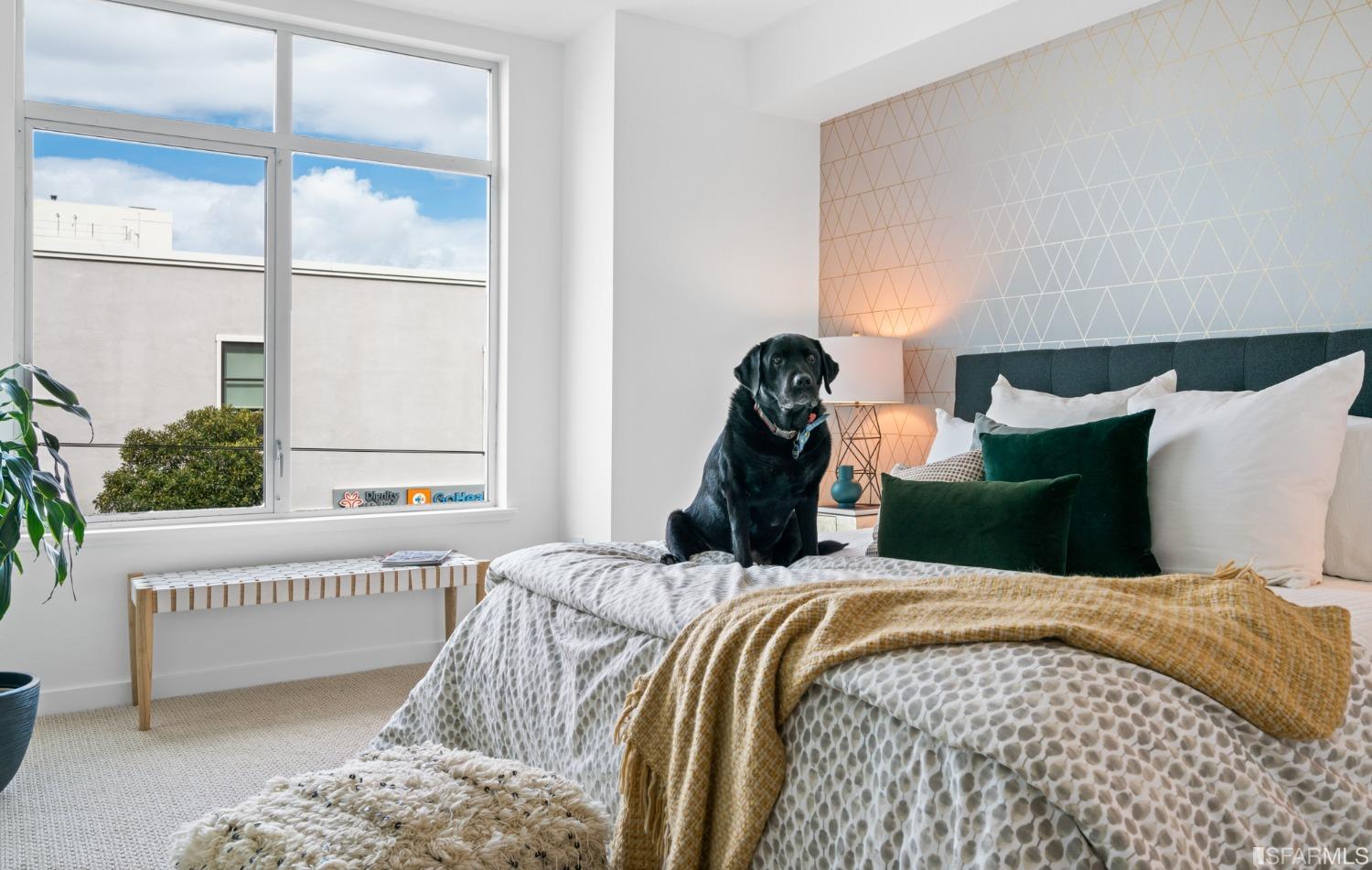 2655 Bush Street Unit: 203