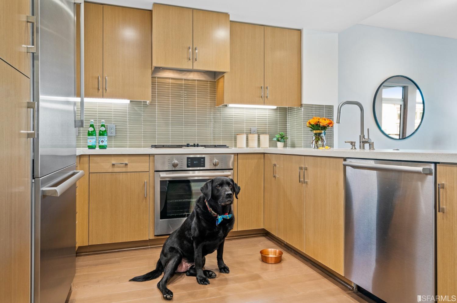 2655 Bush Street Unit: 203