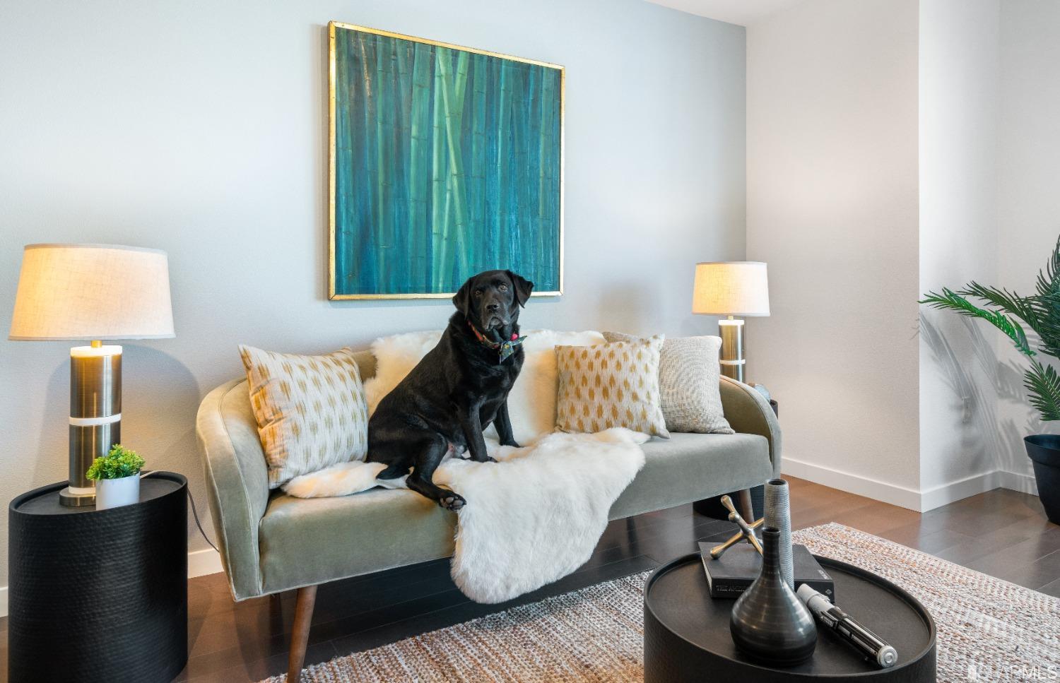 2655 Bush Street Unit: 203