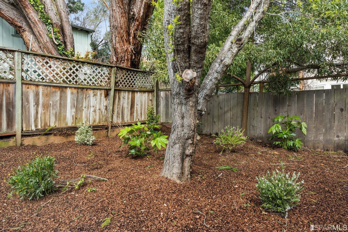 3928 Cesar Chavez Street