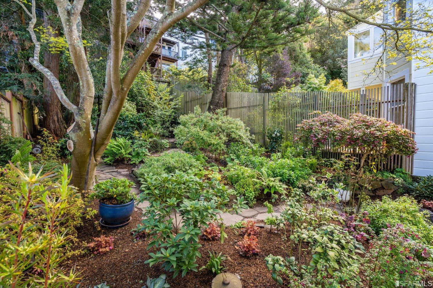 464 Belvedere Street