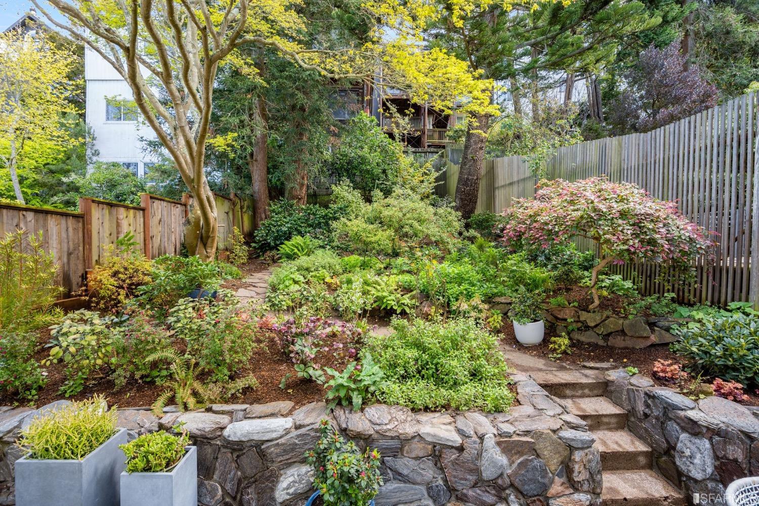 464 Belvedere Street