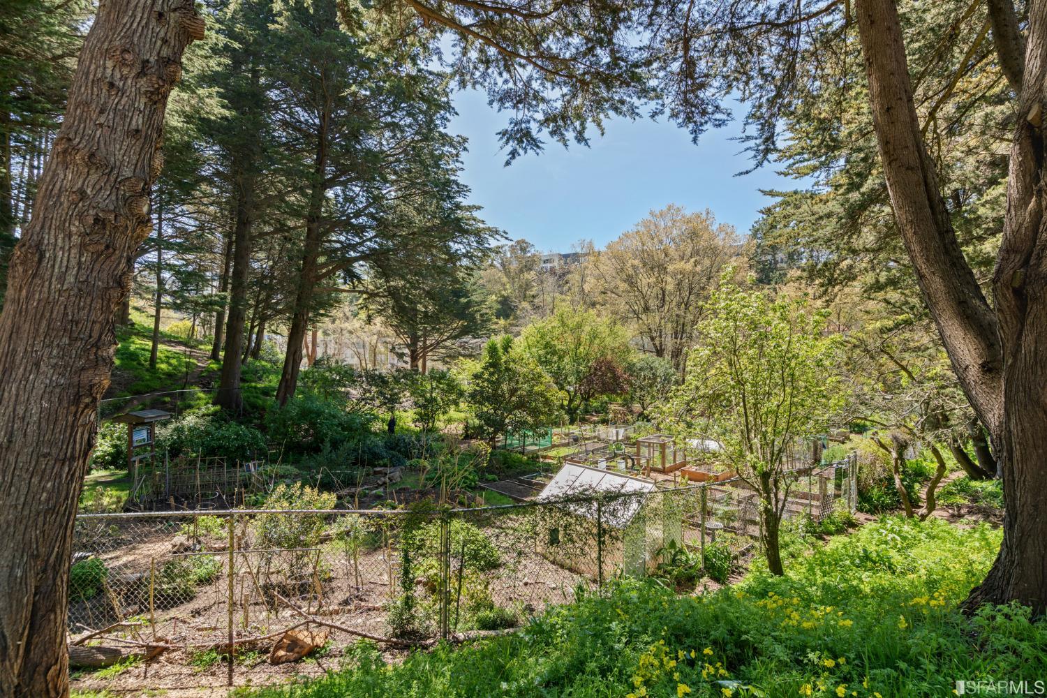 184 Locksley Avenue Unit: 6