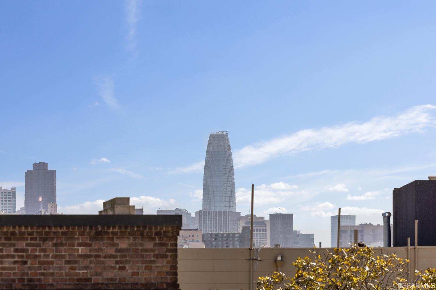 1902 Lyon Street Unit: D