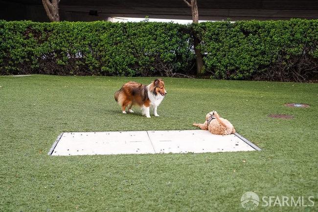 425 1st Street Unit: 2607