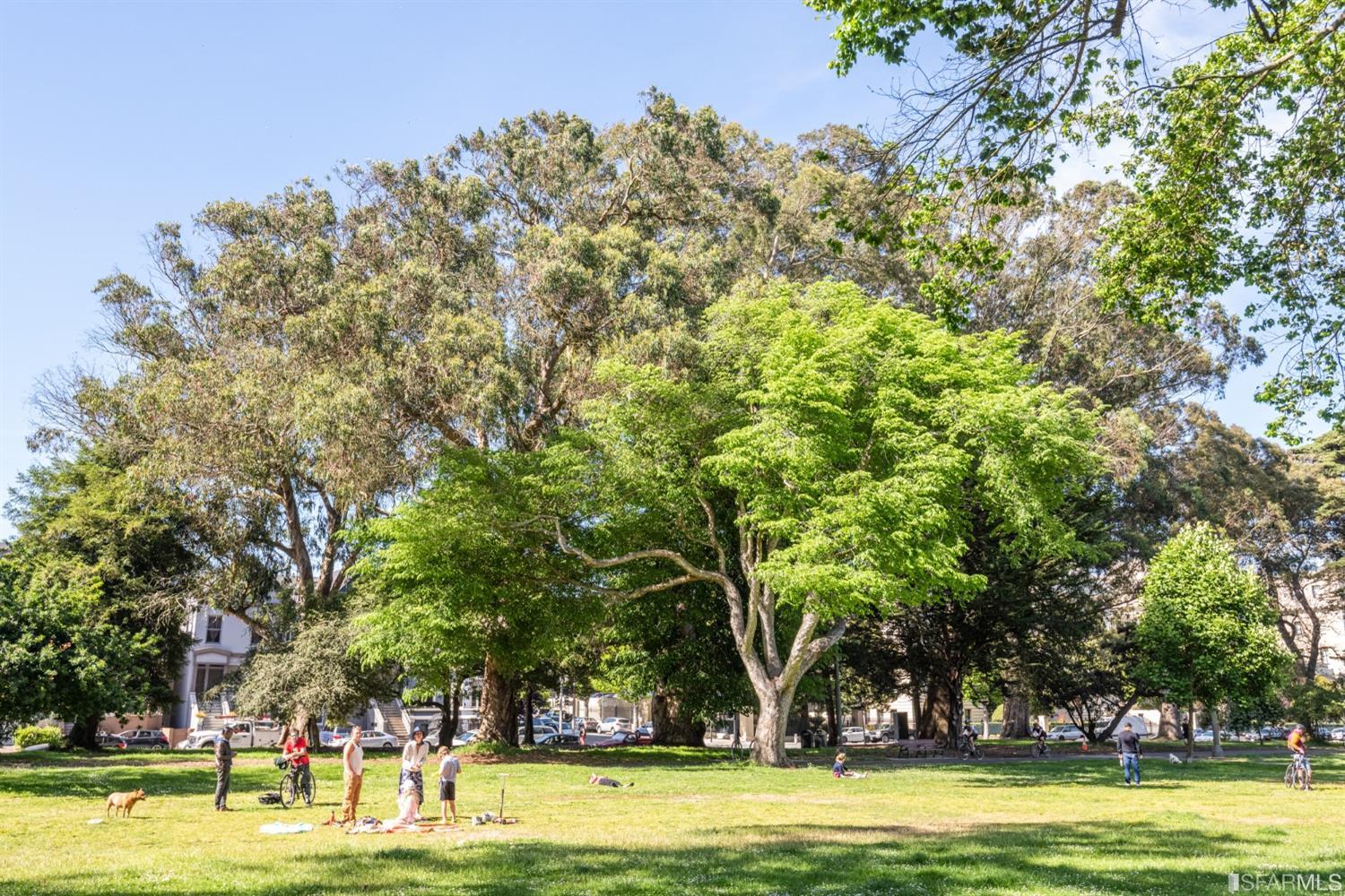 1390 Fell Street Unit: 201