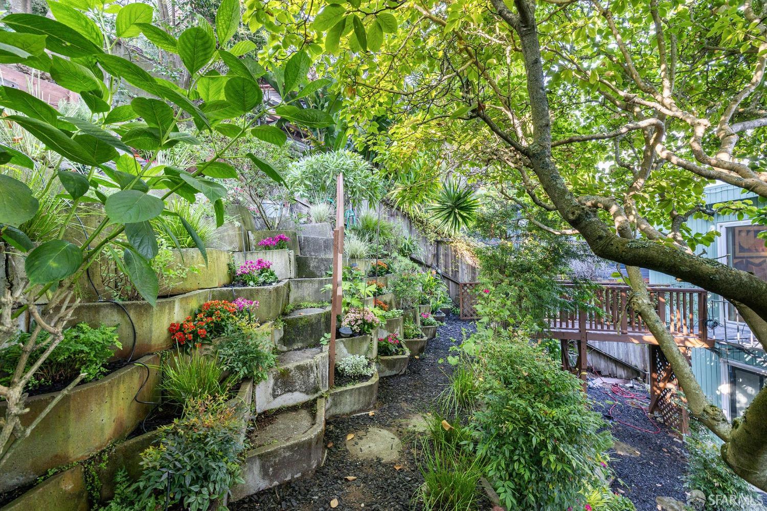 18 Levant Street