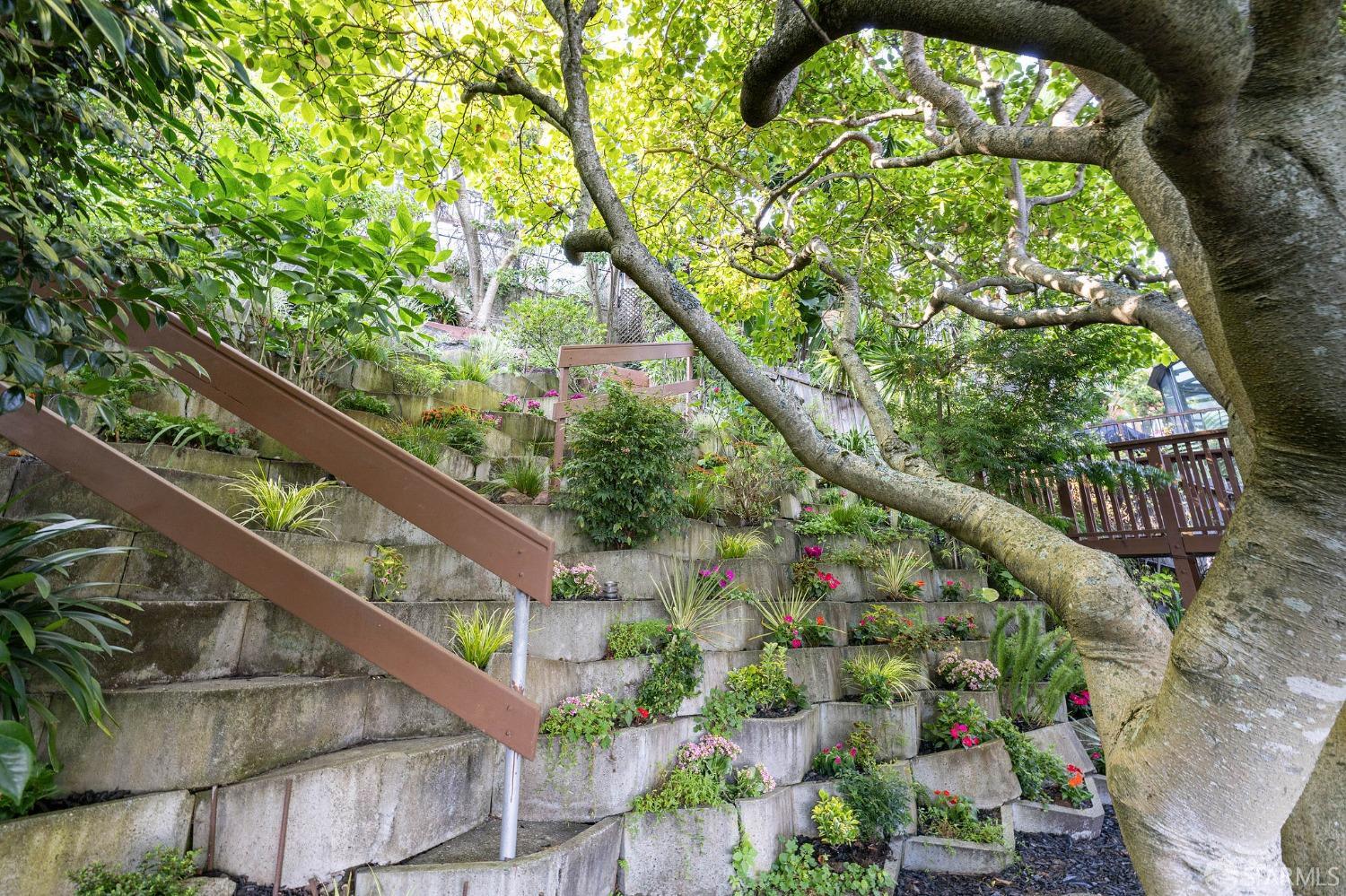 18 Levant Street