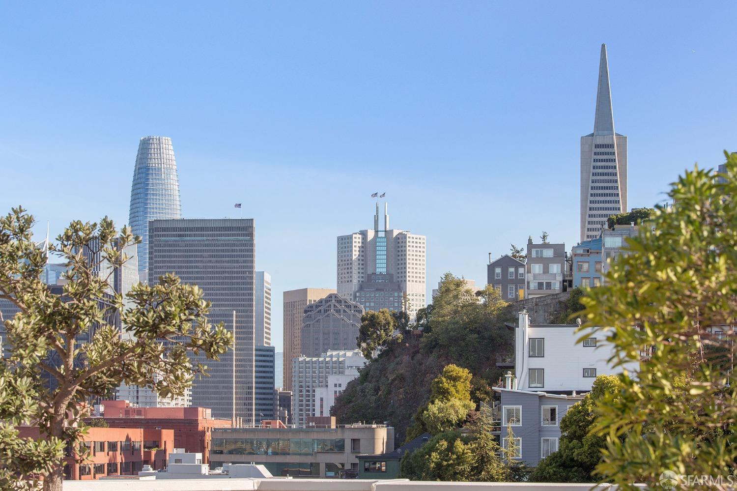 156 Lombard Street Unit: 30