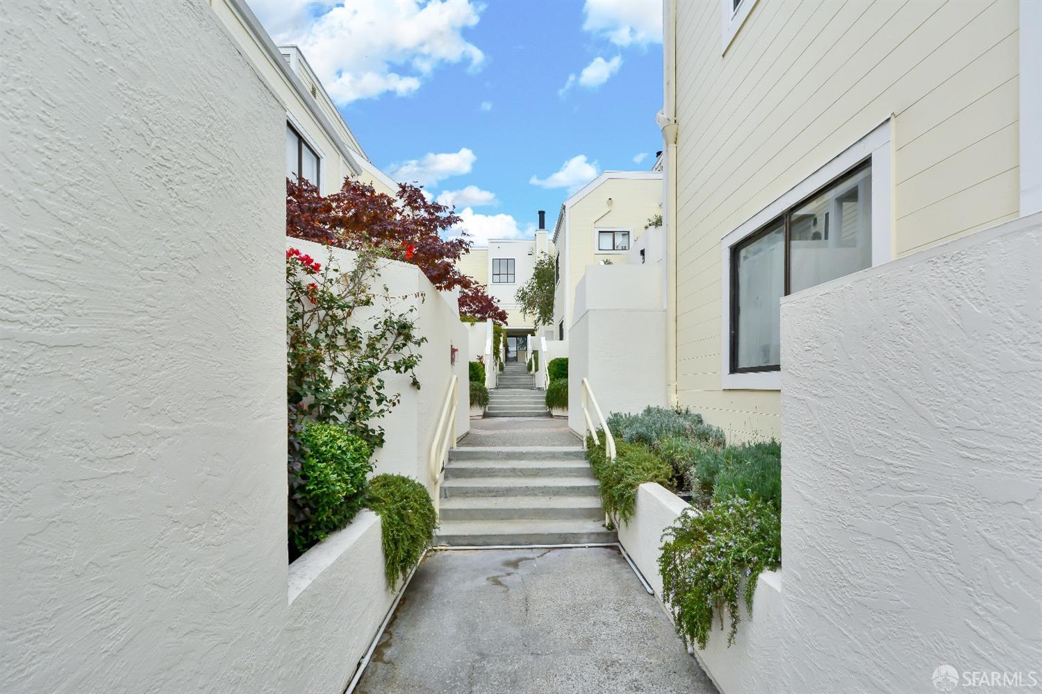 2185 Bush Street # 313