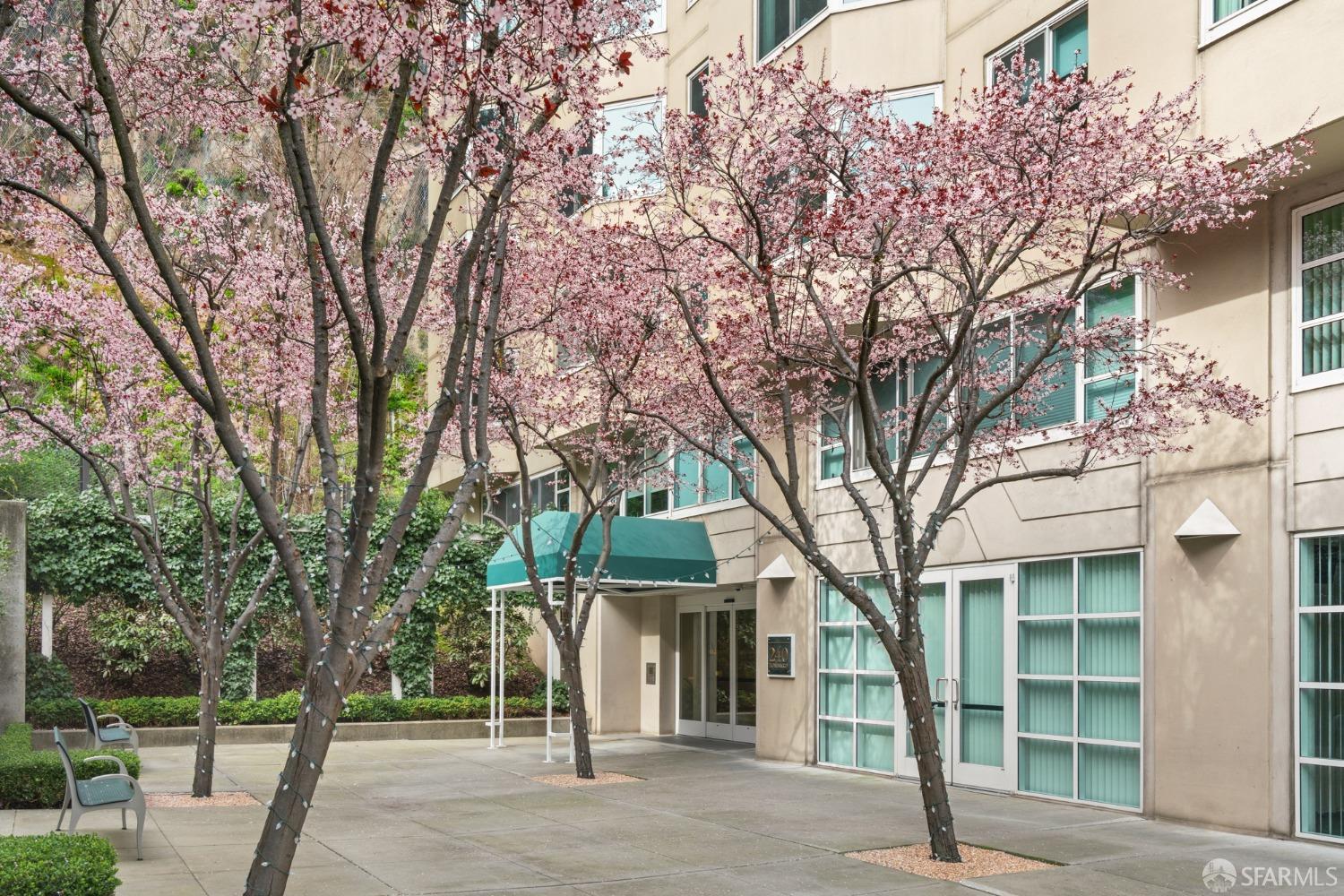 111 Chestnut Street # 905
