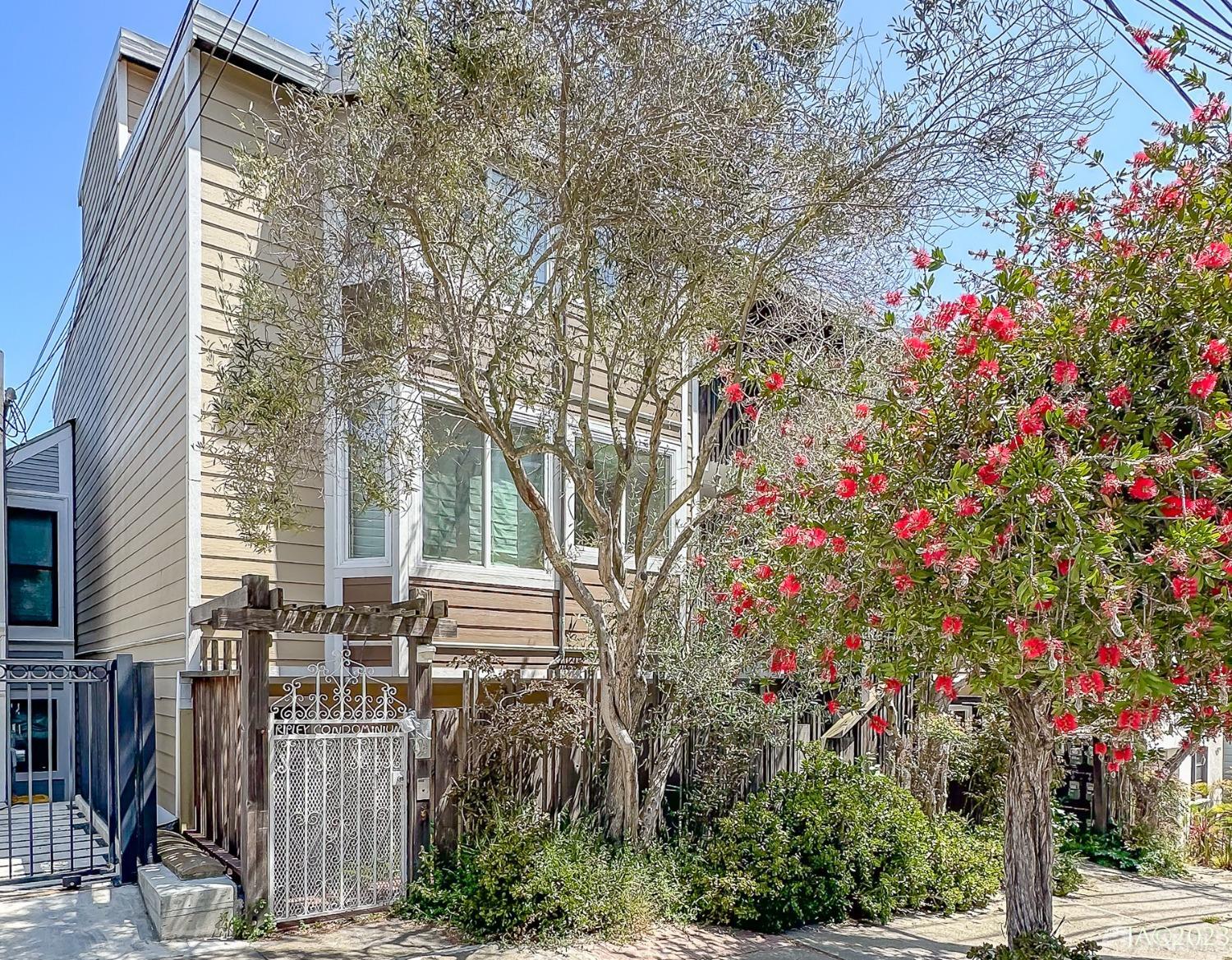 153 Ripley Street # 3