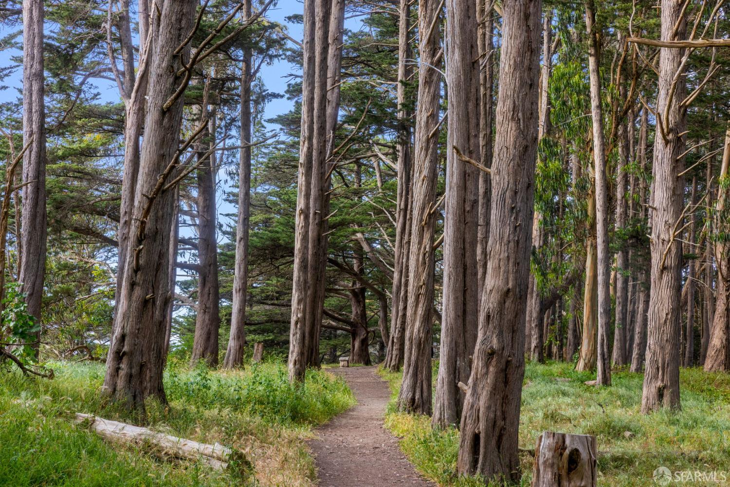 4471 Mission Street # 2, San Francisco Unit: 2