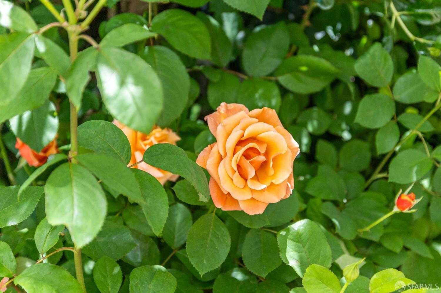 157-167 Vicksburg Street