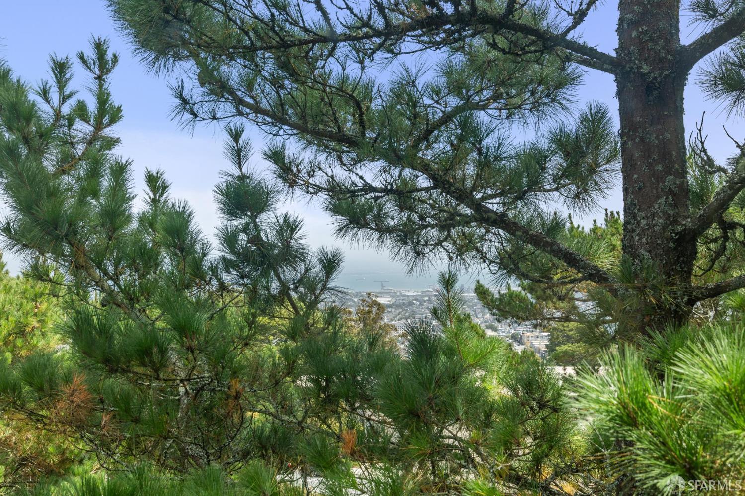 55 Red Rock Way # 207