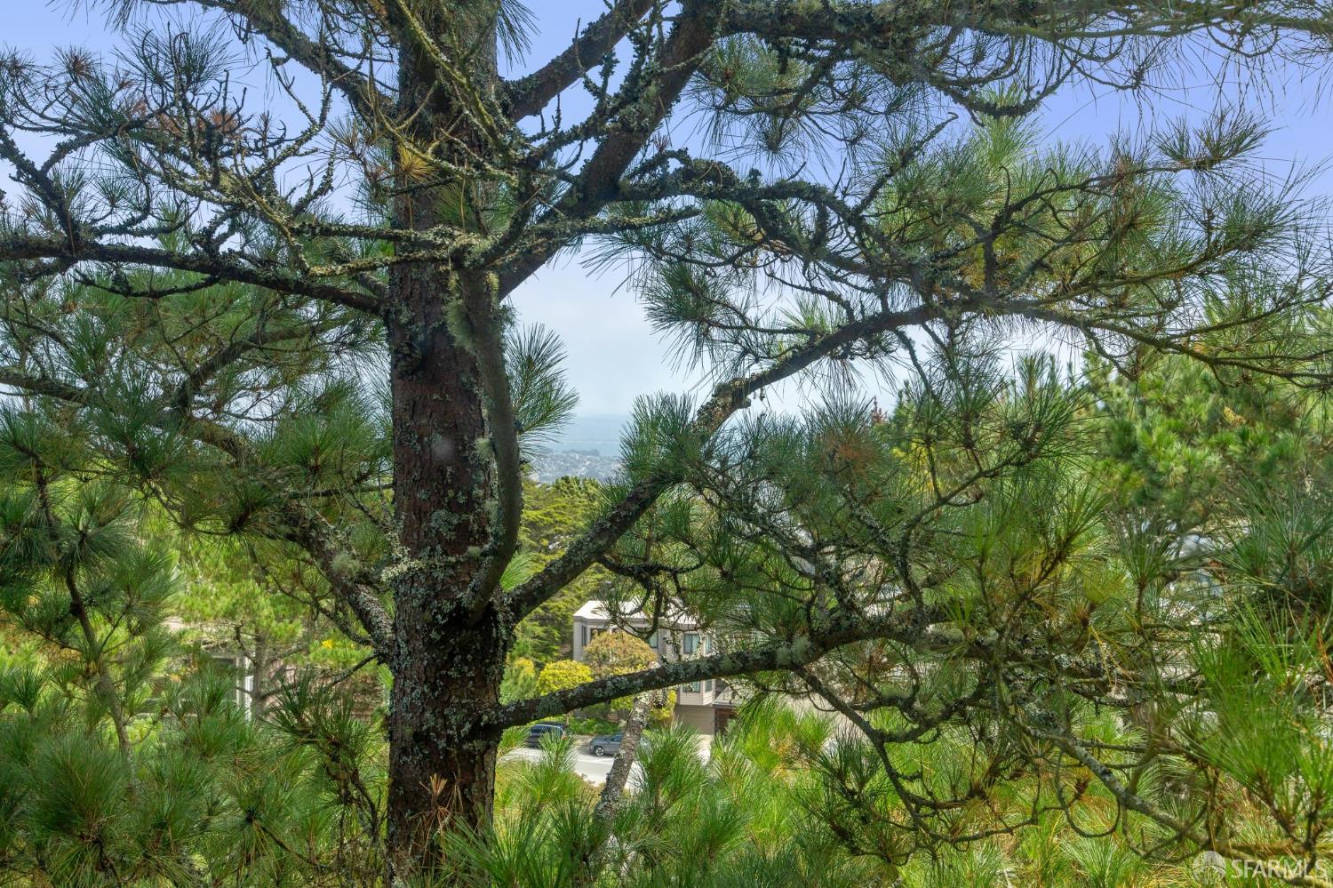 55 Red Rock Way # 207