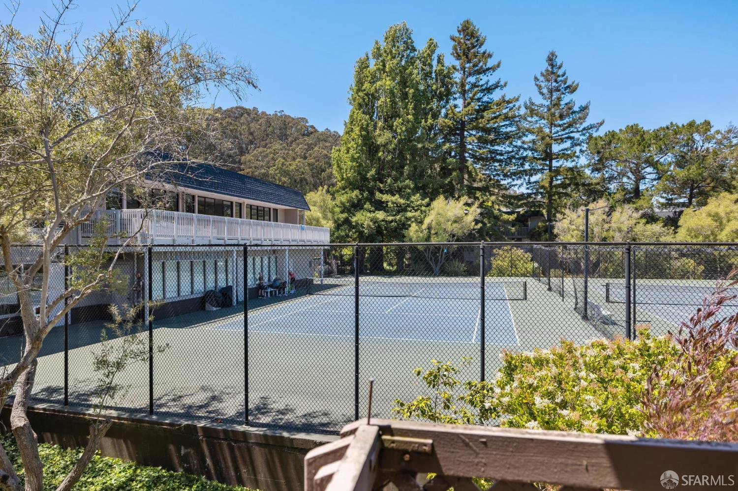 3256 Shelter Creek Lane