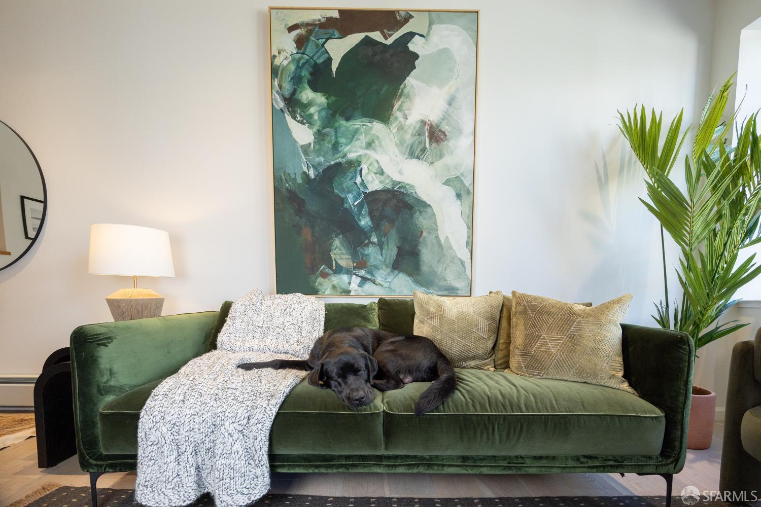 500 Masonic Avenue # 8