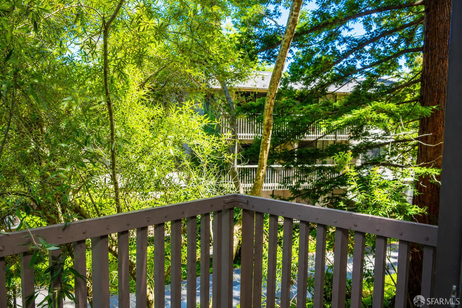 6256 Shelter Creek Lane