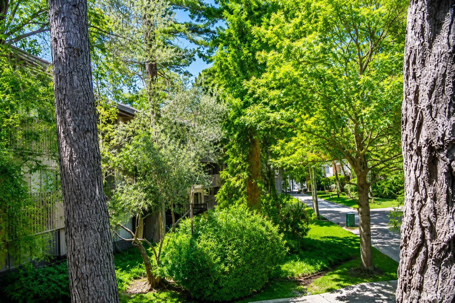 6256 Shelter Creek Lane