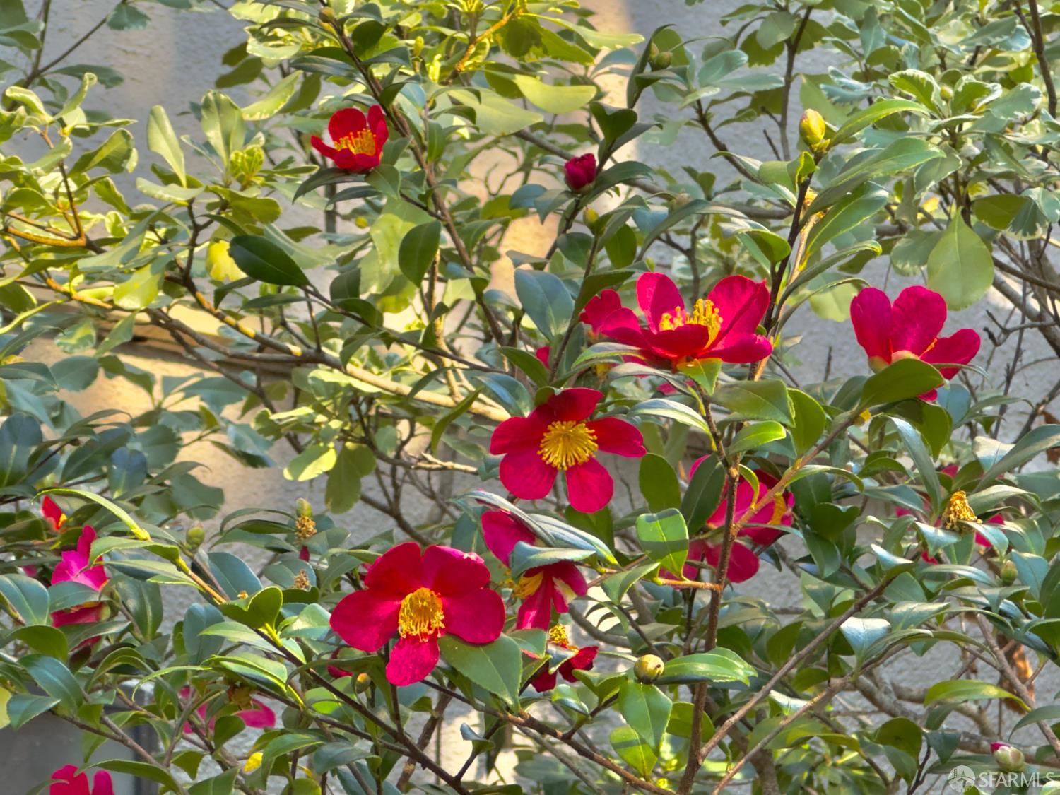 7224 Shelter Creek Lane