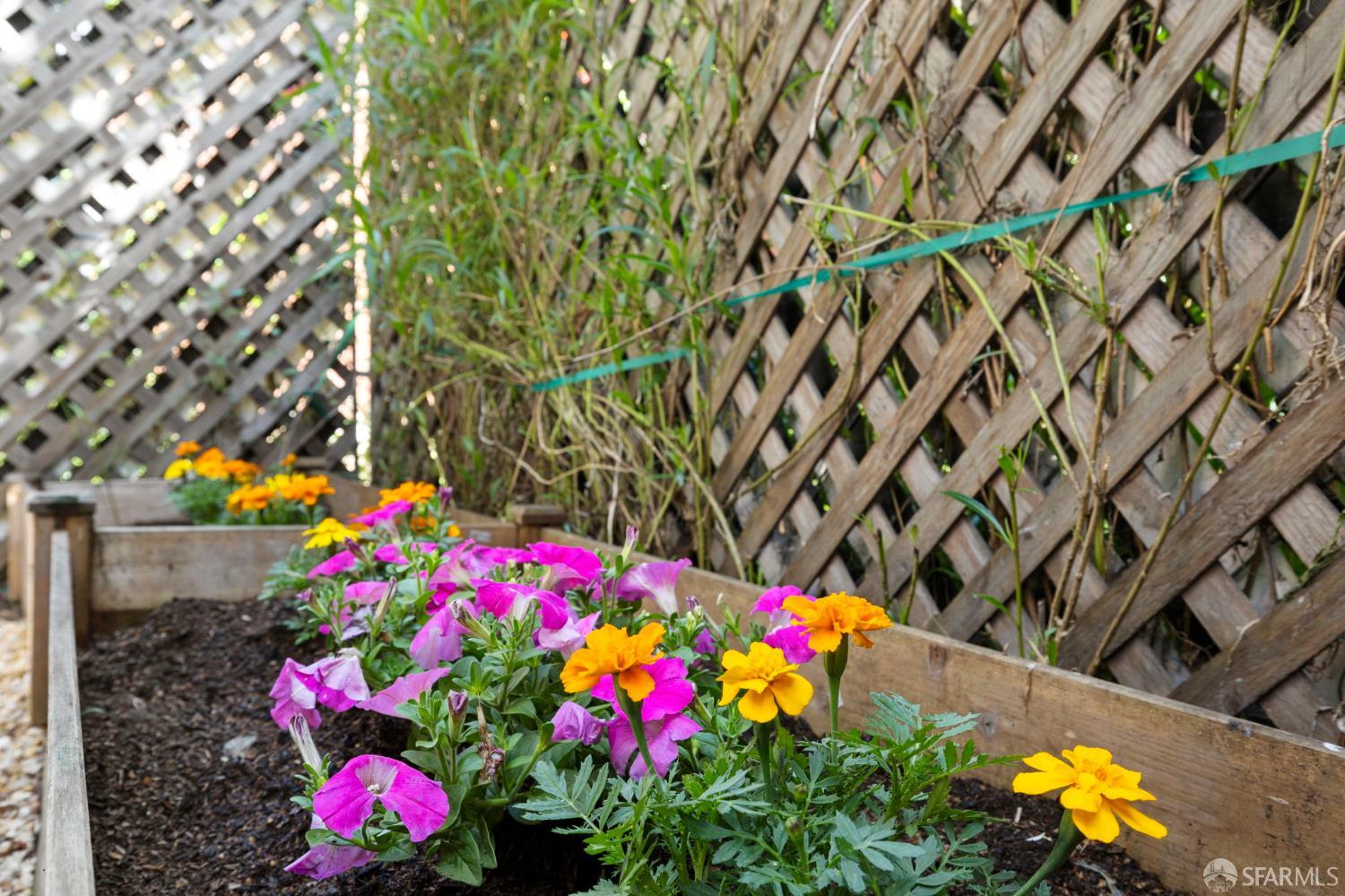 1385 Hampshire Street # 1387B