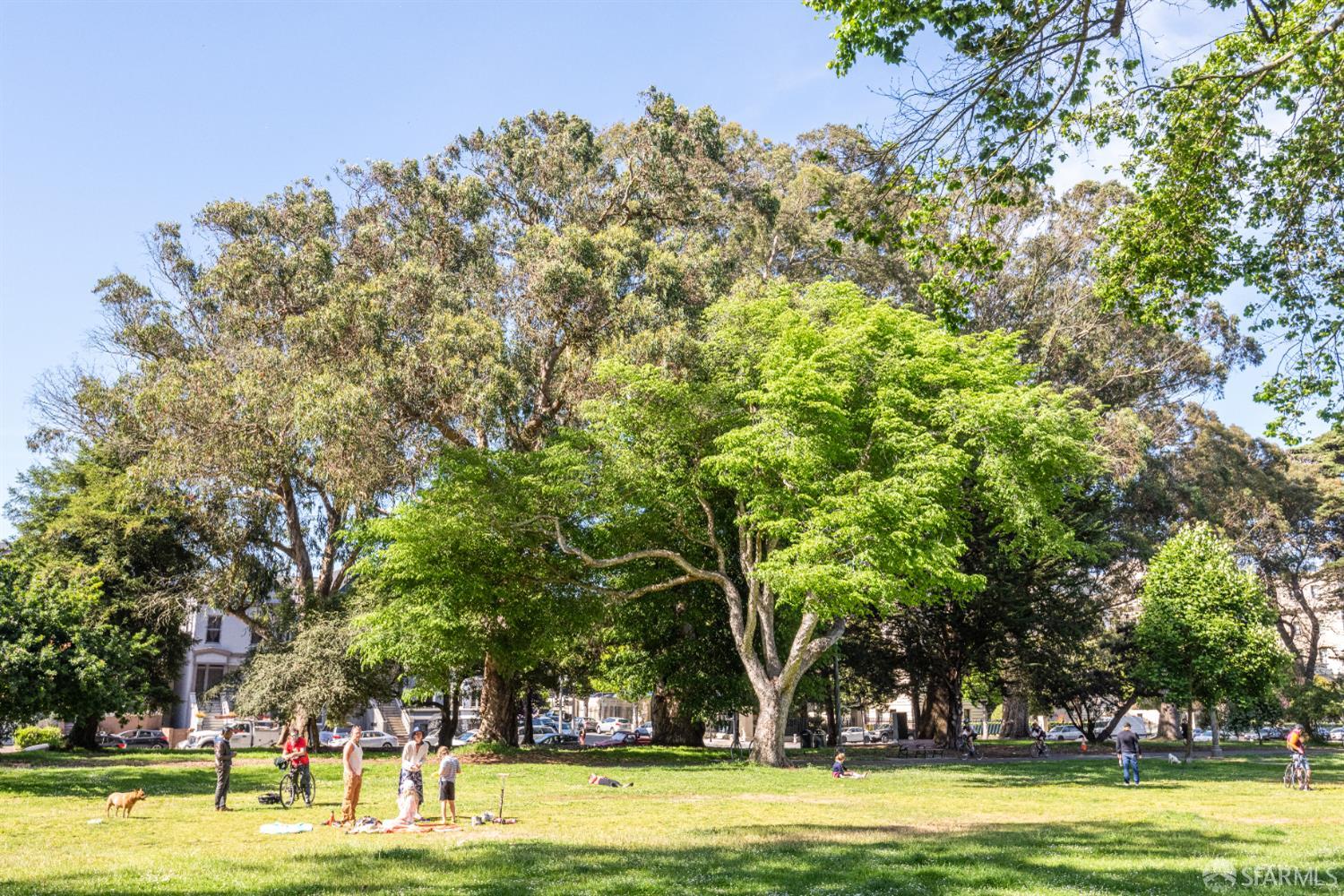 350 Broderick Street # 320