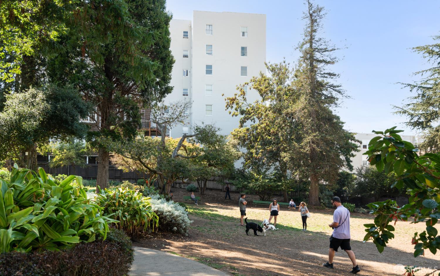 2315 Van Ness Avenue # 3