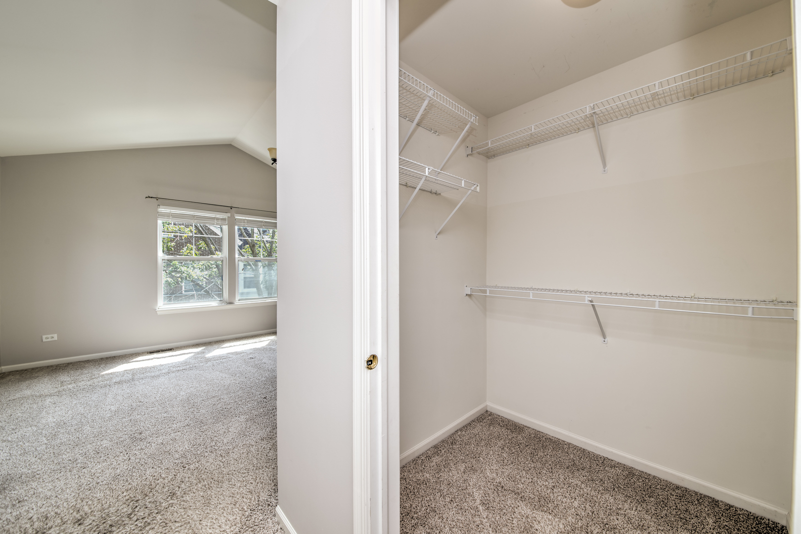 5565 Cambridge Way
