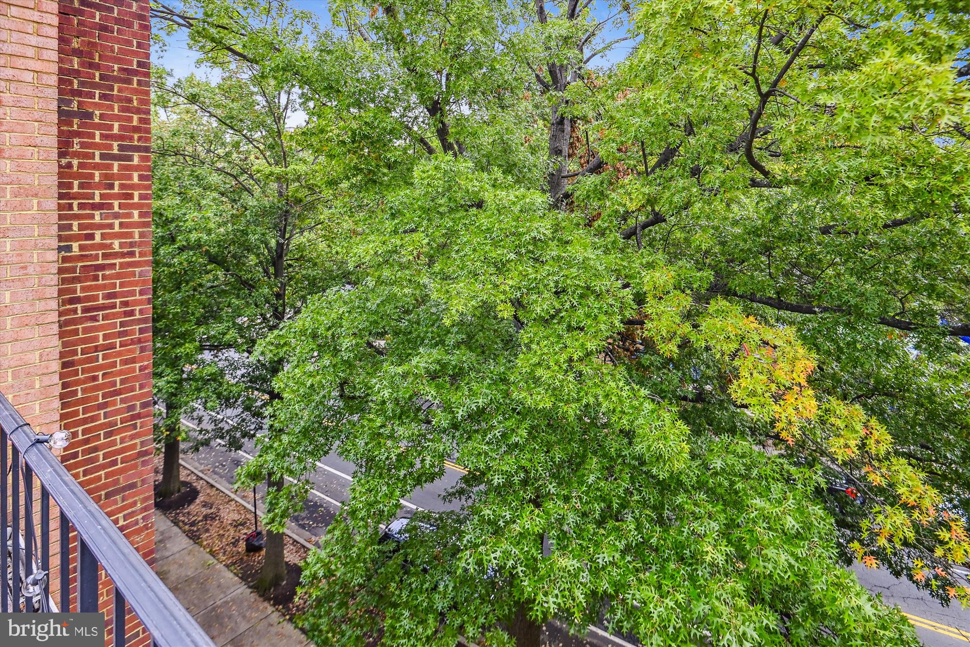 2514 FAIRFAX DRIVE 6DIII