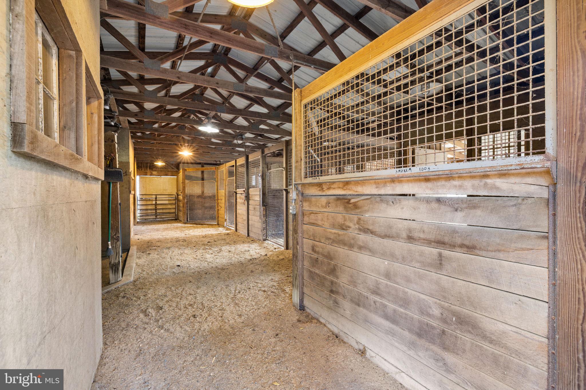 3383 LOST CORNER ROAD