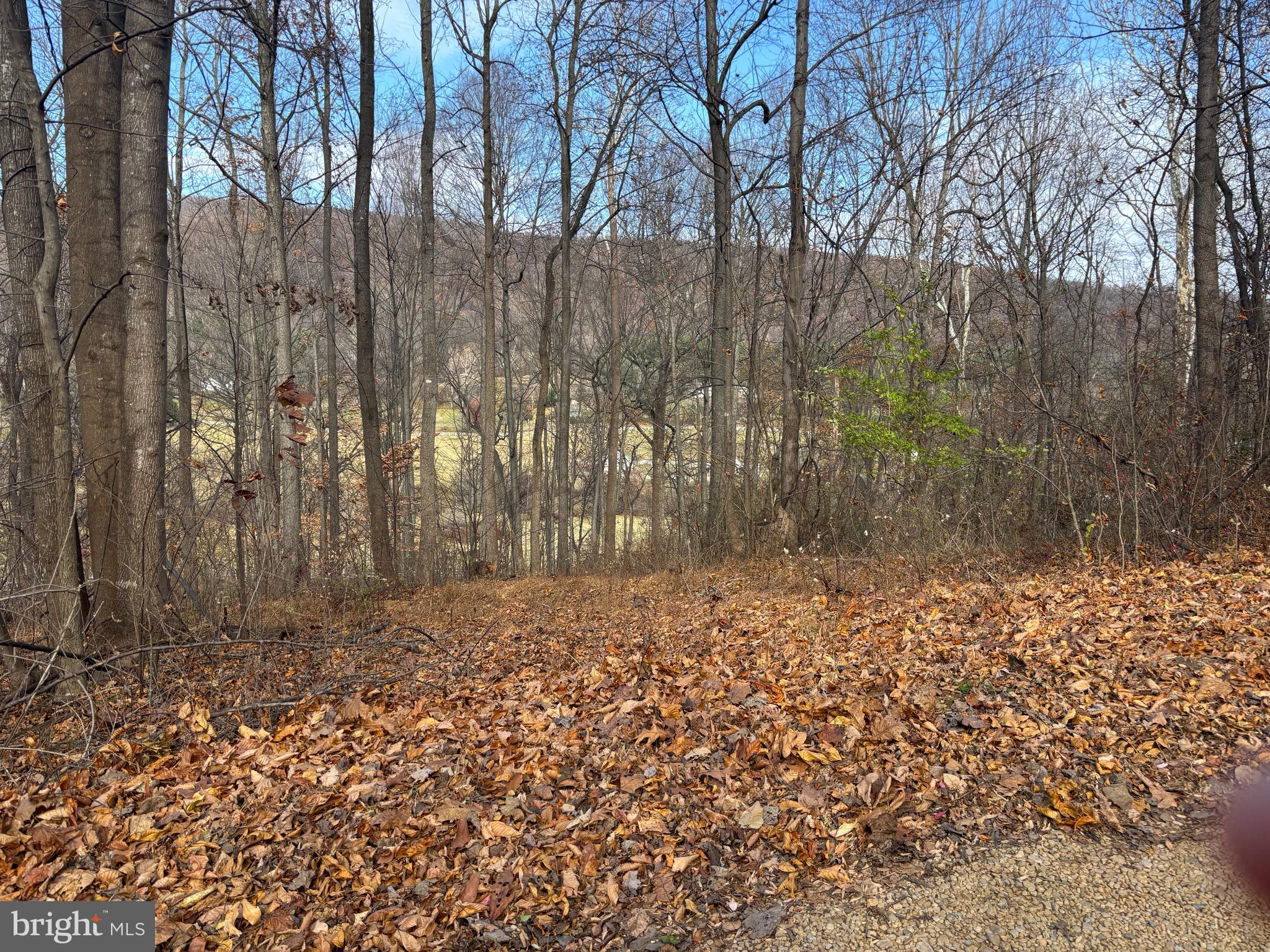 FIERY RUN ROAD