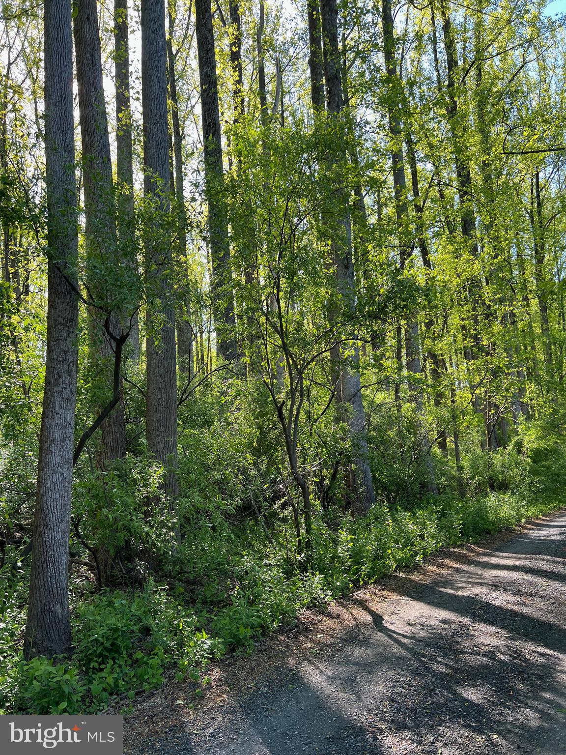 CARLETON LN