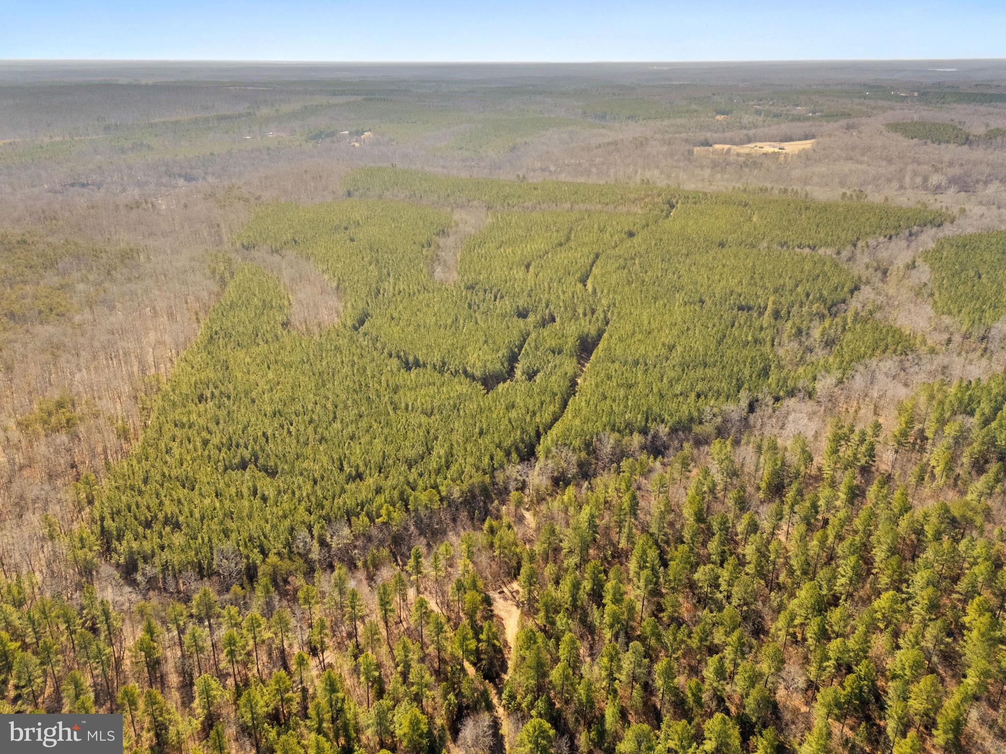 OFF SNAKE CASTLE ROAD