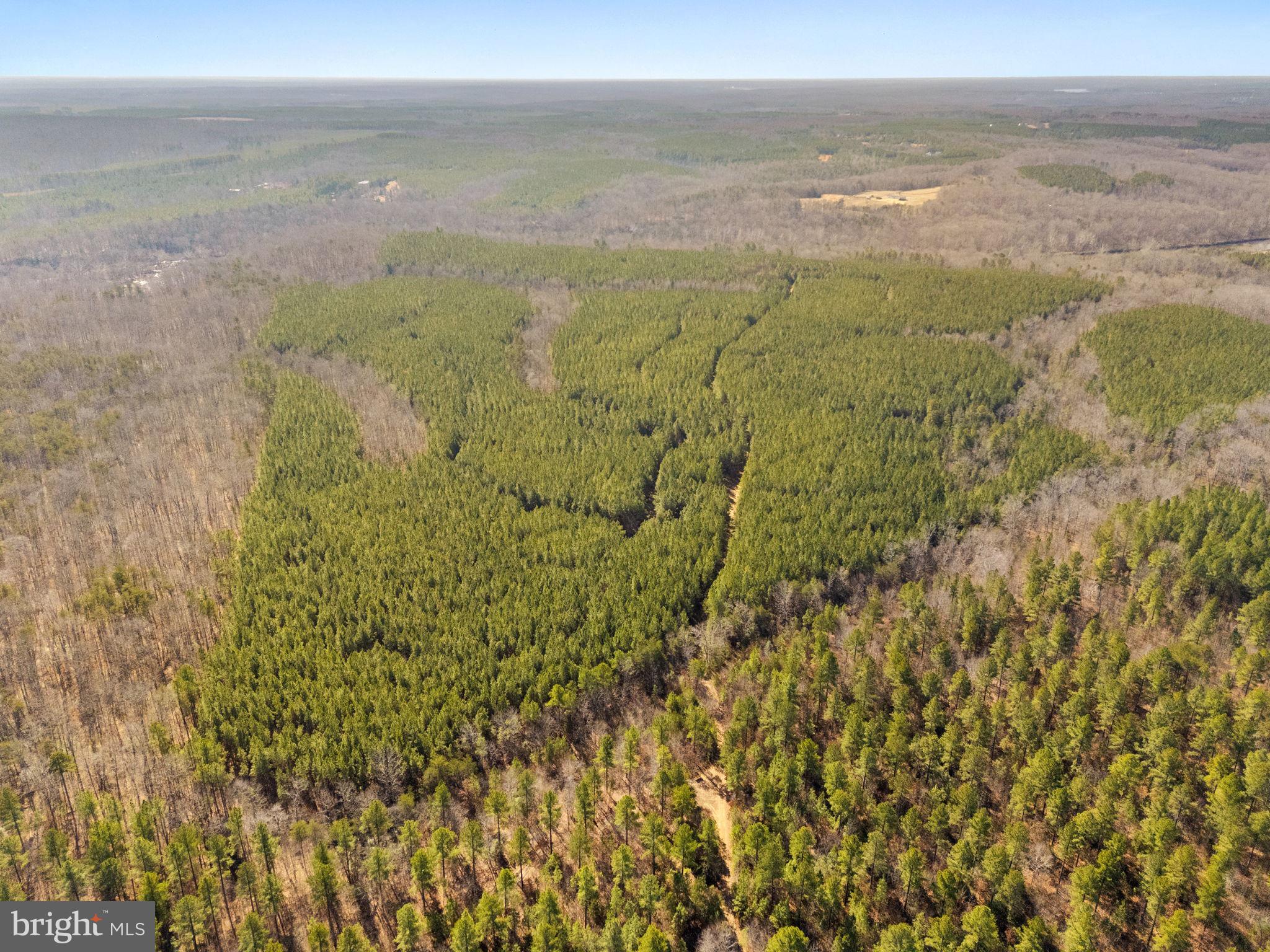 OFF SNAKE CASTLE ROAD