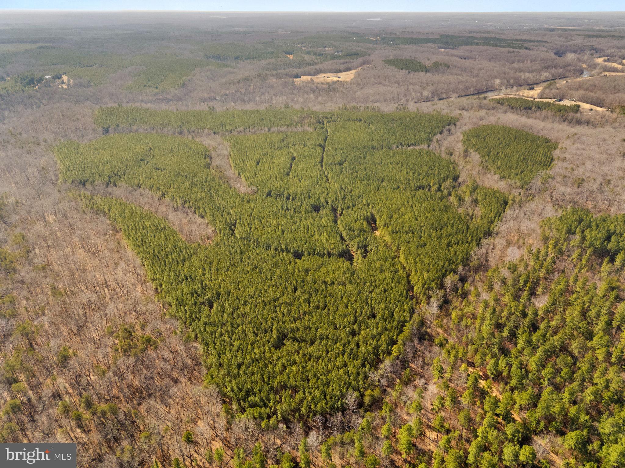 OFF SNAKE CASTLE ROAD