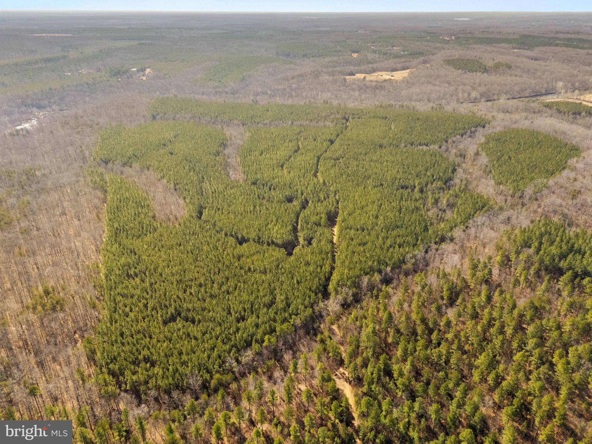 OFF SNAKE CASTLE ROAD