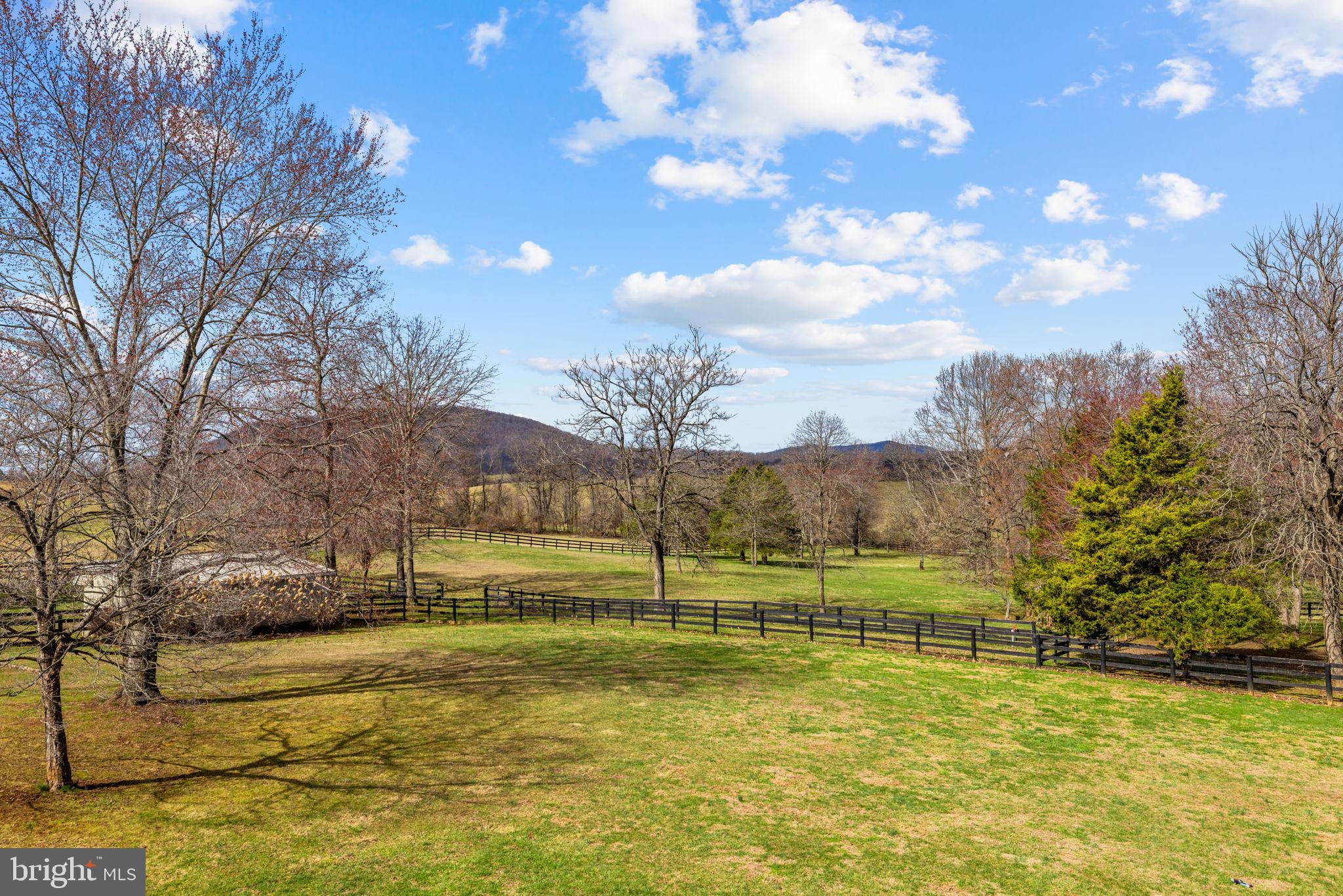 9491 WALSINGHAM LANE