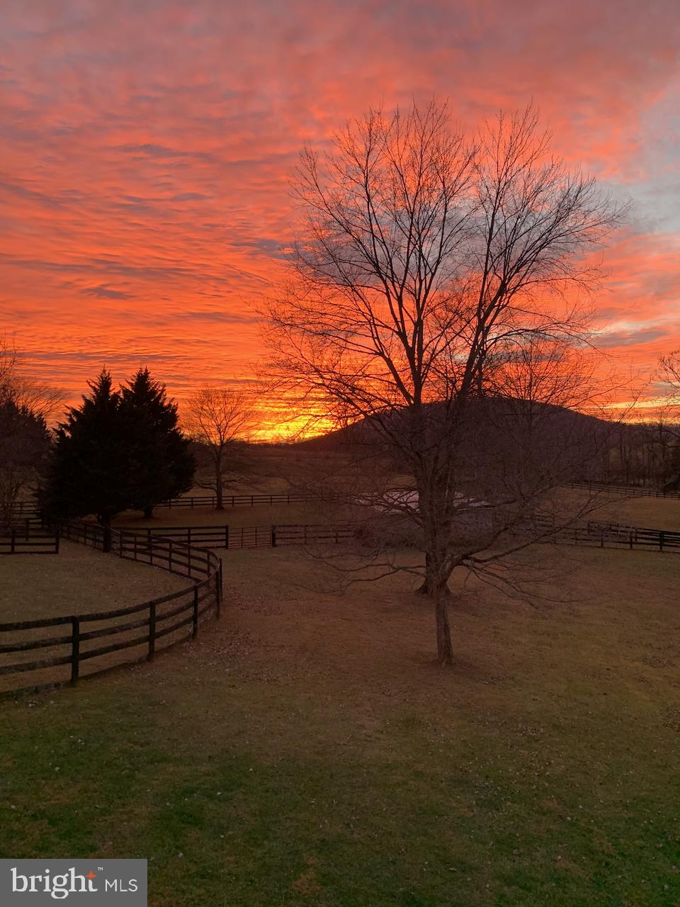 9491 WALSINGHAM LANE