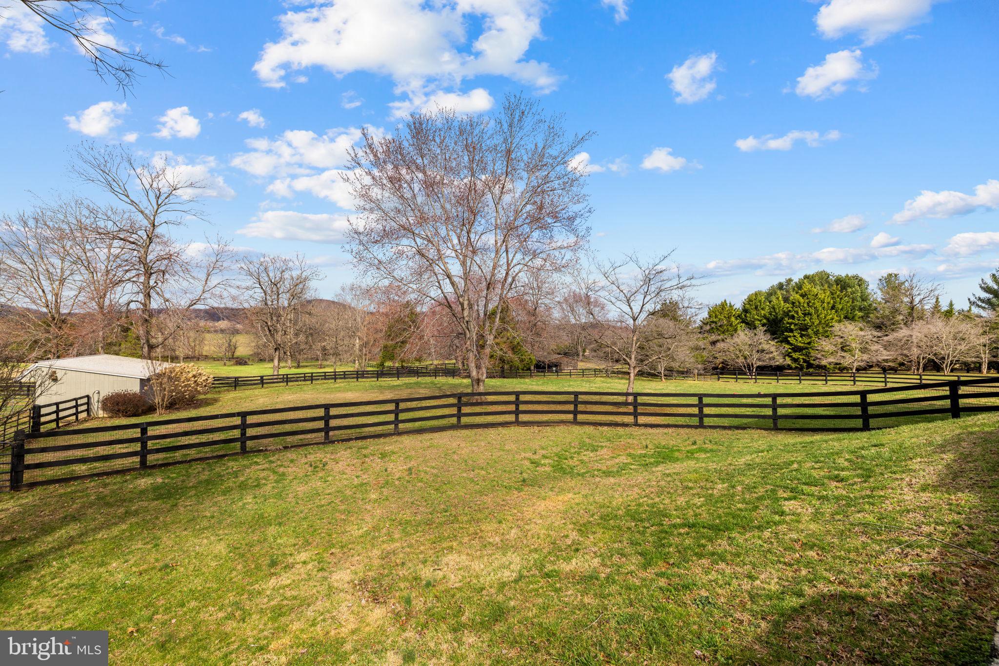 9491 WALSINGHAM LANE