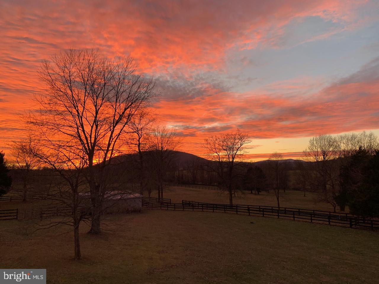 9491 WALSINGHAM LANE