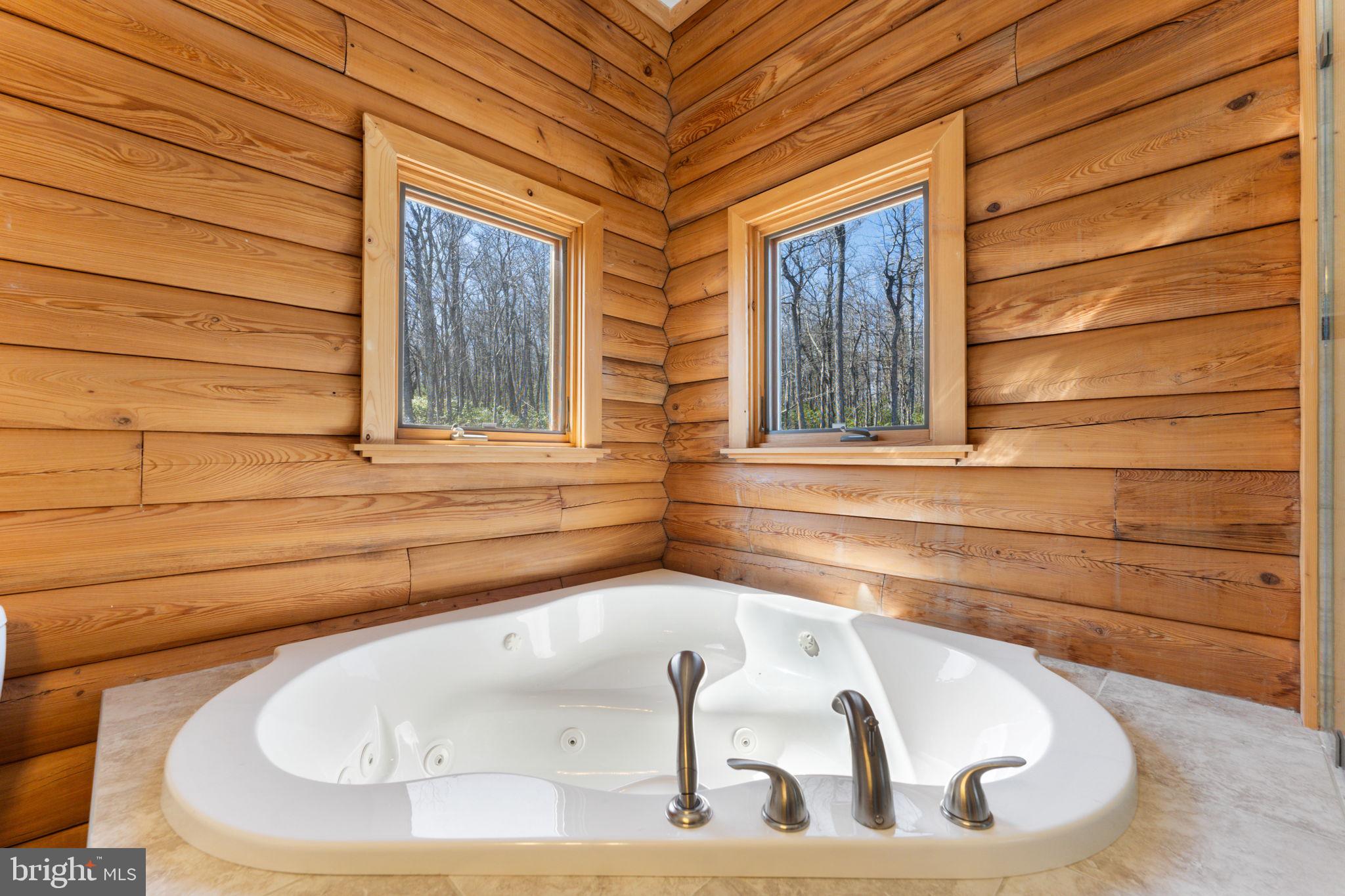 1581 GREAT MOUNTAIN LANE