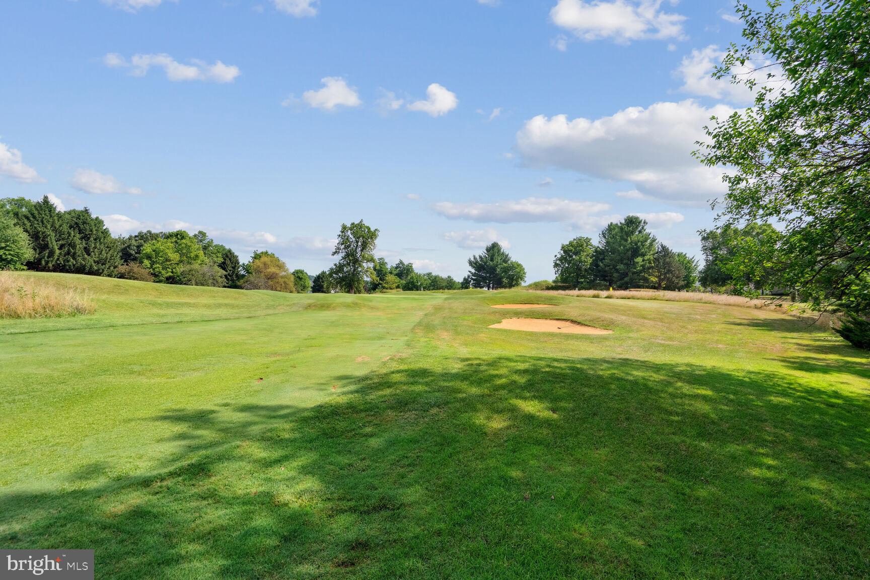 17811 STONELEIGH DRIVE