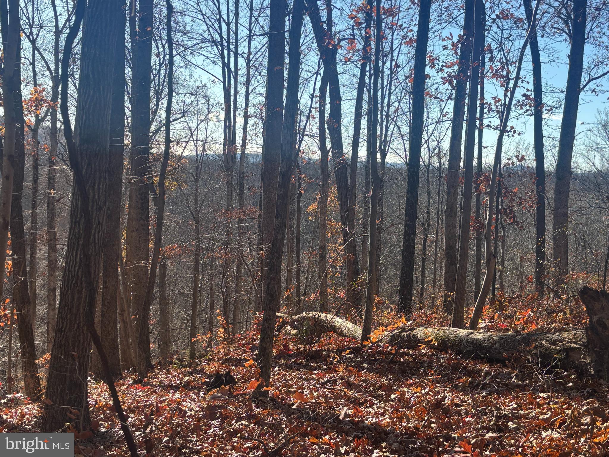 38196 LIME KILN ROAD